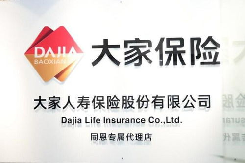 大家人壽保險(xiǎn)專屬代理店網(wǎng)絡(luò)布局及廣告設(shè)計(jì)策略